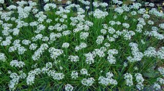 아침농원님의 자유주제 · 자유게시판 작성글 사진