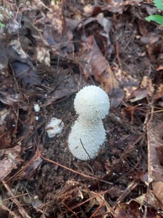 연향님의 자유주제 · 자유게시판 작성글 사진