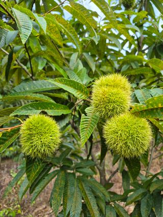 엘림농장님의 자유주제 · 사진전 작성글 사진
