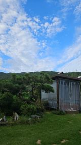 팜모닝 · 게시글 이미지