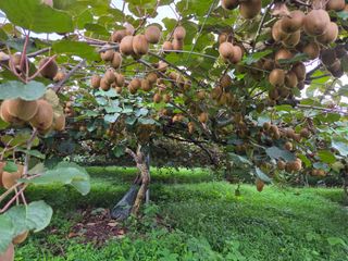 노고단님의 자유주제 · 자유게시판 작성글 사진