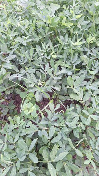 오남현님의 자유주제 · 자유게시판 작성글 사진