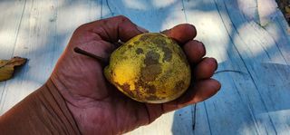 고동옥님의 자유주제 · 사진전 작성글 사진