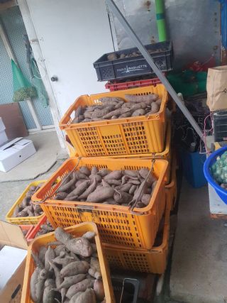 옥천서화농님의 자유주제 · 자유게시판 작성글 사진