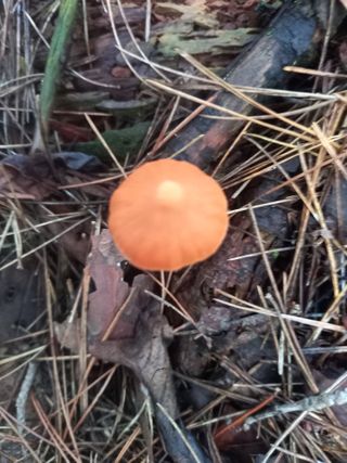 연향님의 자유주제 · 자유게시판 작성글 사진