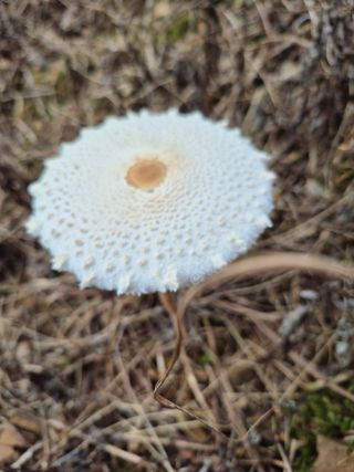 엘림농장님의 자유주제 · 사진전 작성글 사진