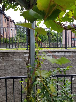 김건호님의 자유주제 · 자유게시판 작성글 사진