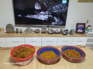 박전규님의 자유주제 · 자유게시판 작성글 사진