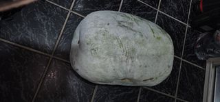 김선례님의 자유주제 · 자유게시판 작성글 사진