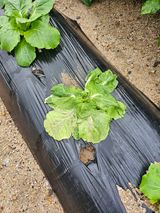 팜모닝 자유주제·건의해요 게시글 이미지