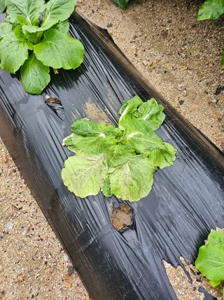 윤재하님의 자유주제 · 건의해요 작성글 사진