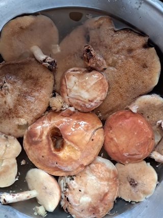 허한수 님의 자유주제 · 자유게시판 작성글 사진