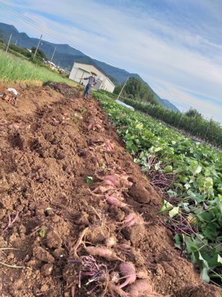 김기한님의 자유주제 · 자유게시판 작성글 사진