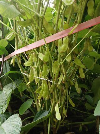 인생은 소풍처럼님의 작성글 사진