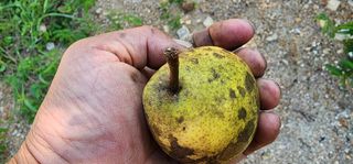 고동옥님의 자유주제 · 사진전 작성글 사진