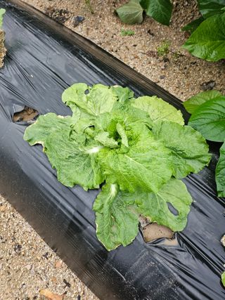 윤재하님의 자유주제 · 건의해요 작성글 사진