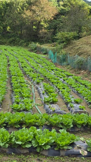 달빛소년(김광순)님의 자유주제 · 자유게시판 작성글 사진