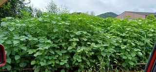 산골마님님의 자유주제 · 자유게시판 작성글 사진