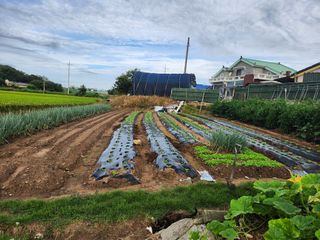 이대석님의 자유주제 · 자유게시판 작성글 사진