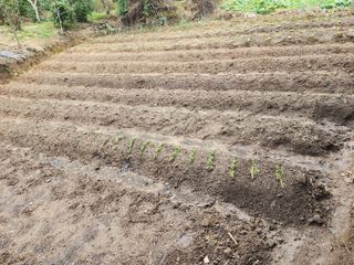 조정권님의 자유주제 · 자유게시판 작성글 사진
