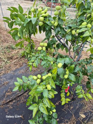 전홍열님의 자유주제 · 자유게시판 작성글 사진