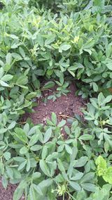 팜모닝 자유주제·자유게시판 게시글 이미지