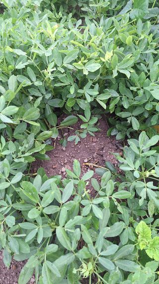 오남현님의 자유주제 · 자유게시판 작성글 사진