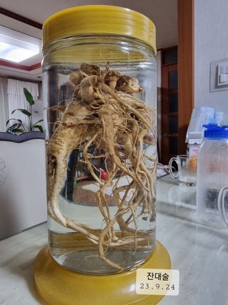 권병☆님의 작성글 사진