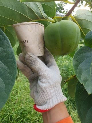 서선옥님의 자유주제 · 자유게시판 작성글 사진