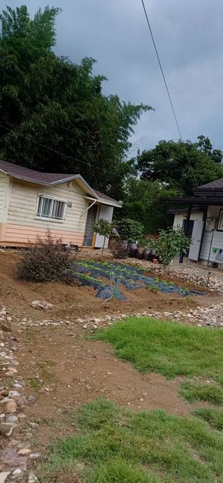 초보퍼머5도2촌준비님의 자유주제 · 자유게시판 작성글 사진