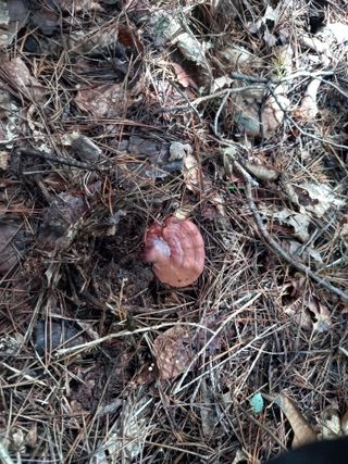 연향님의 자유주제 · 자유게시판 작성글 사진