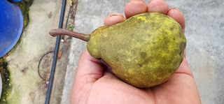 고동옥님의 자유주제 · 자유게시판 작성글 사진