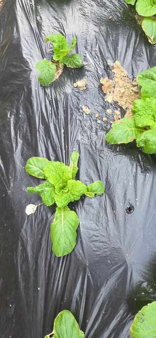 이정주님의 자유주제 · 자유게시판 작성글 사진