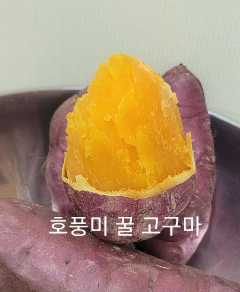 사랑꽃농장님의 장터 판매 상품 [  햇 속 노란 꿀 고구마 판매10kg35.000] 첨부 사진