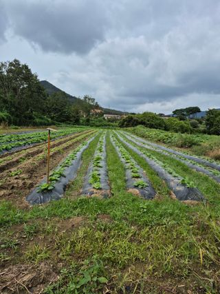 이정민님의 자유주제 · 사진전 작성글 사진