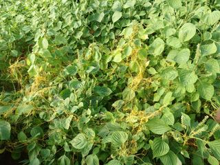 윤경식님의 자유주제 · 자유게시판 작성글 사진