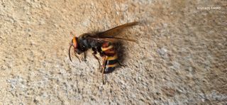 이종록님의 자유주제 · 자유게시판 작성글 사진