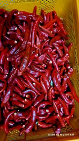 팜모닝 자유주제·자유게시판 게시글 이미지