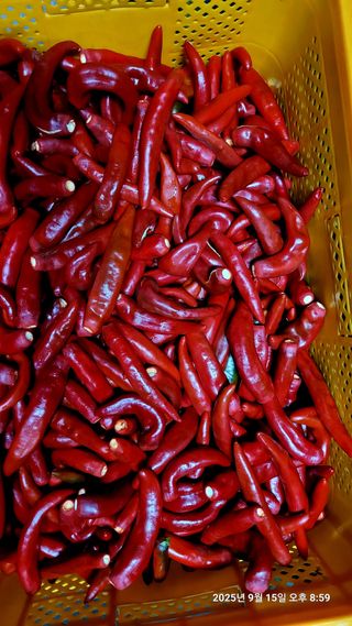 사랑과 희망님의 자유주제 · 자유게시판 작성글 사진