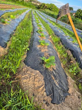 이정민님의 자유주제 · 사진전 작성글 사진