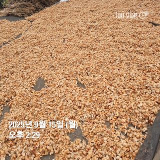 민들레님의 작성글 사진