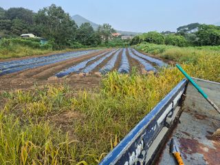 이정민님의 자유주제 · 사진전 작성글 사진