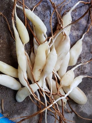 이창신님의 작성글 사진