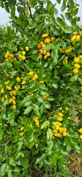 팜모닝 자유주제·자유게시판 게시글 이미지