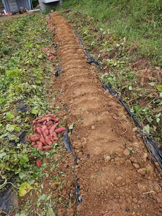 광섭님의 자유주제 · 자유게시판 작성글 사진