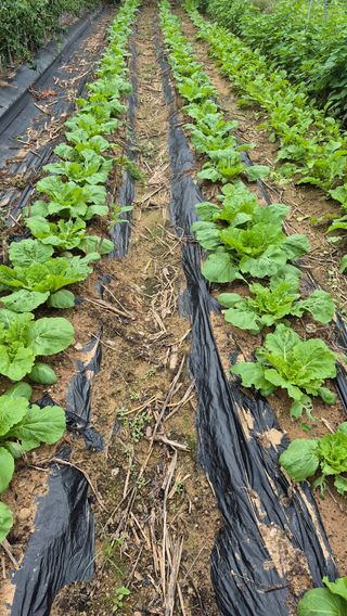 M세대로님의 자유주제 · 사진전 작성글 사진