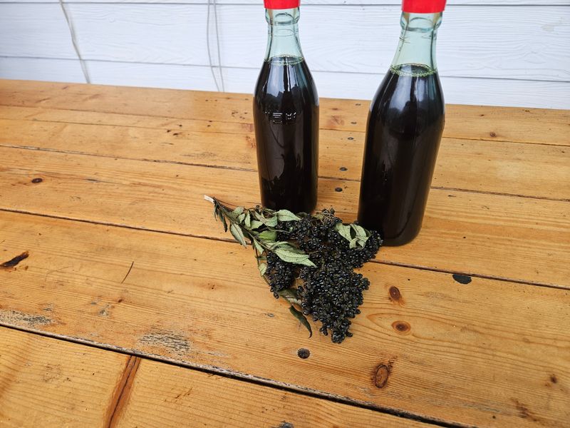 장터 상품 [산초기름] 썸네일