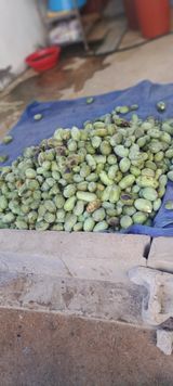 팜모닝 자유주제·자유게시판 게시글 이미지