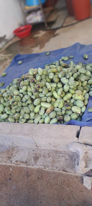 백동감님의 자유주제 · 자유게시판 작성글 사진