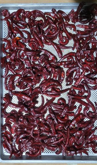 사랑과 희망님의 자유주제 · 자유게시판 작성글 사진